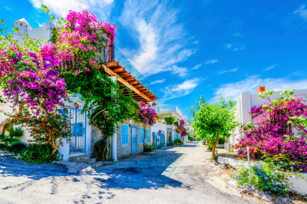 Bodrum: entre o mar e a história